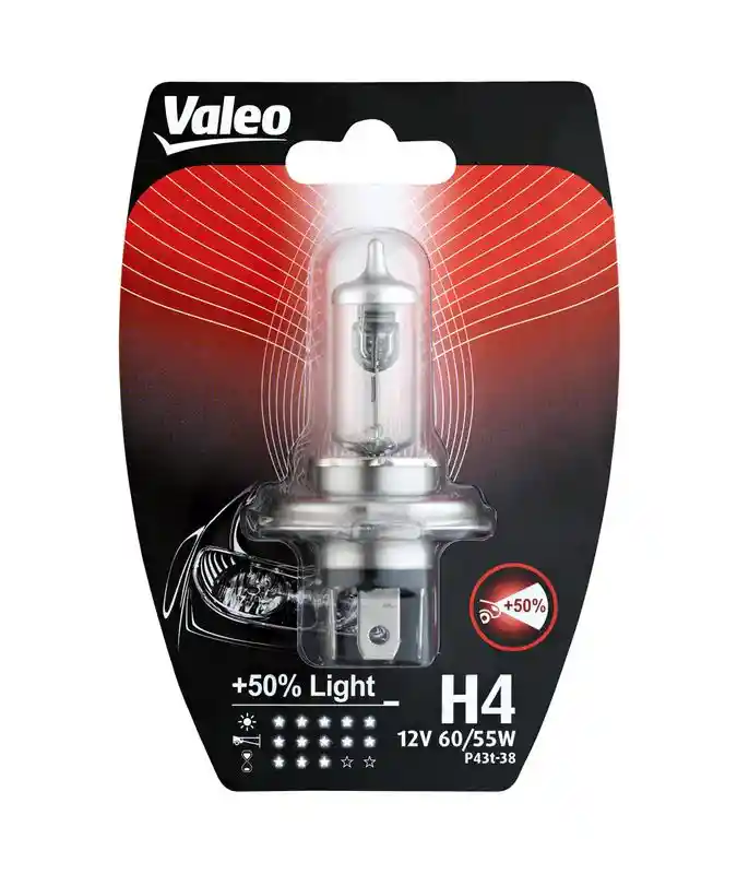 VALEO 032510