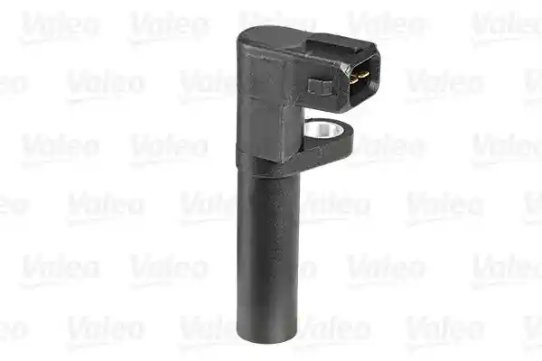 VALEO 254113