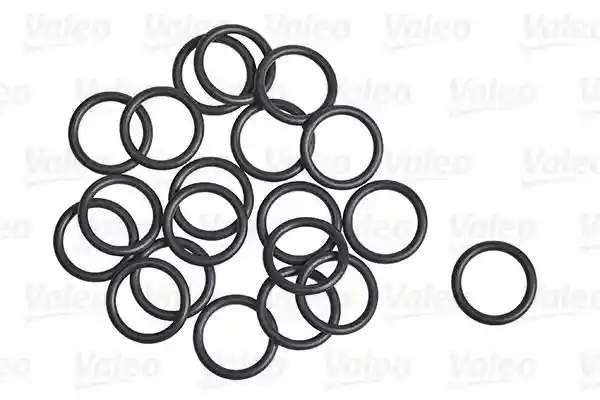 VALEO 509305