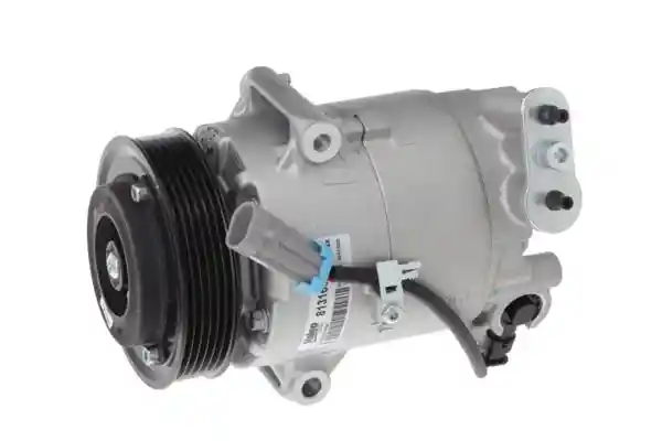 VALEO 813160