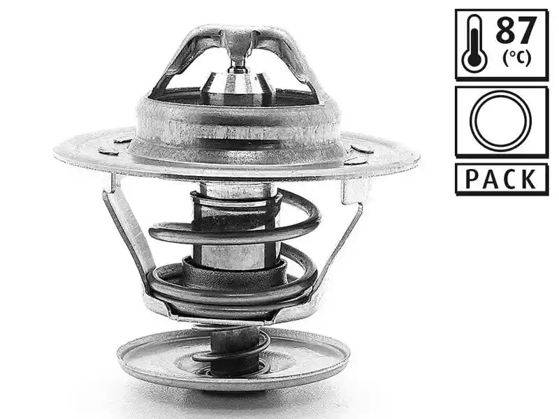 VALEO 819868