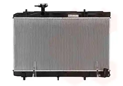 VAN WEZEL 53012713