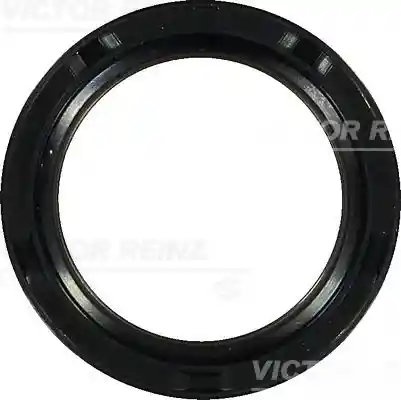 VICTOR REINZ 81-34366-00