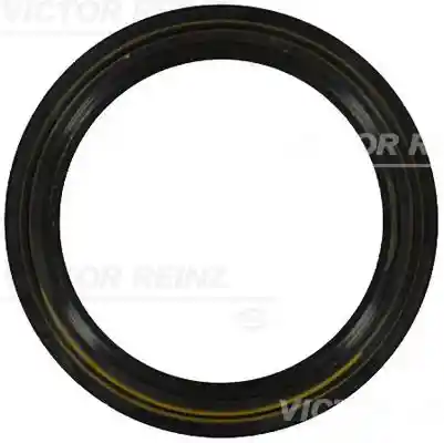 VICTOR REINZ 81-34413-00 VICTOR REINZ 81-34413-00