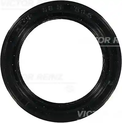 VICTOR REINZ 81-53253-00