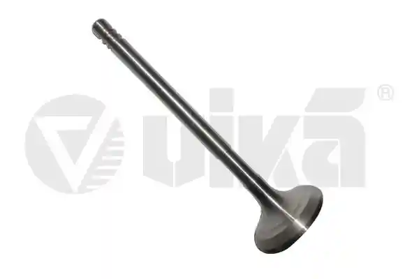 vika 11090181601
