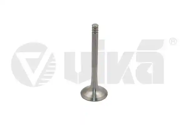 vika 11090212901