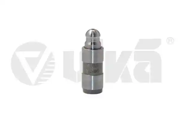 vika 11090223901