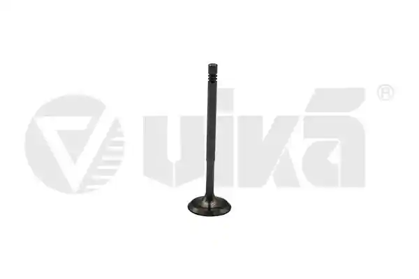 vika 11090759301