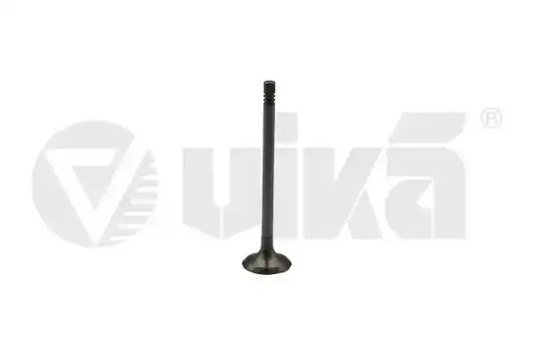 vika 11090759401