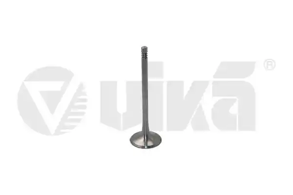 vika 11090939401