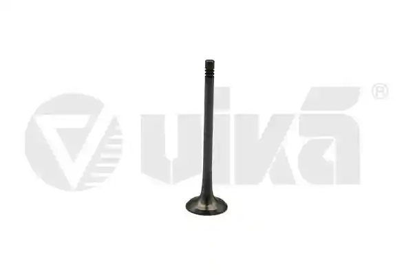 vika 11091777101 vika 11091777101