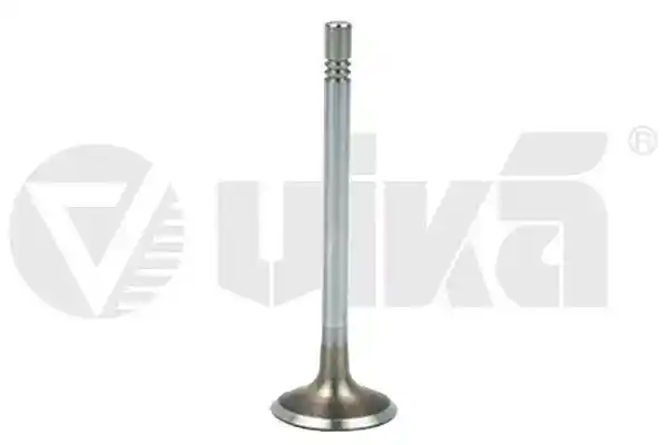 vika 11091825801