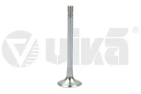 vika 11091825901 vika 11091825901
