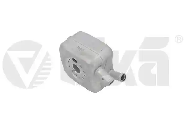 vika 11170067601