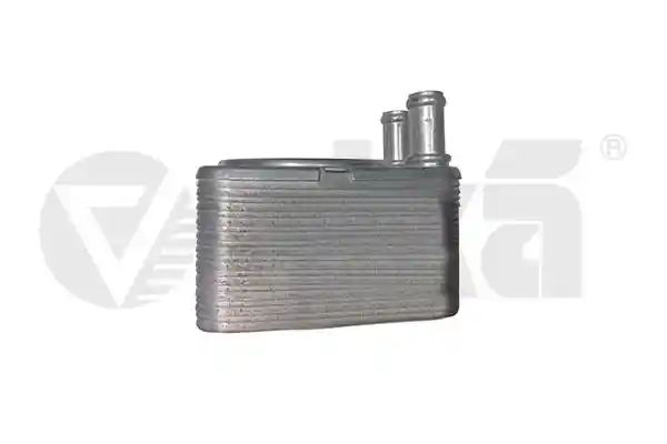 vika 11171698901