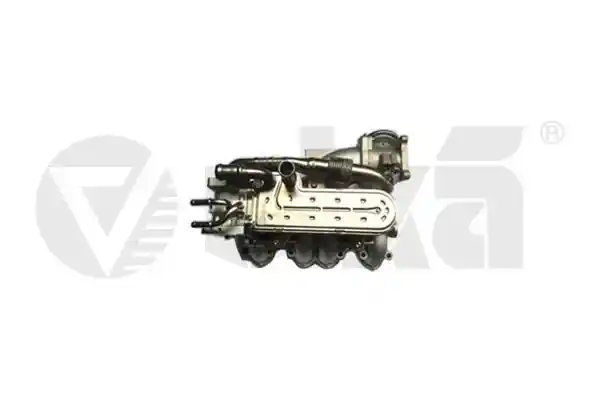vika 11317714201