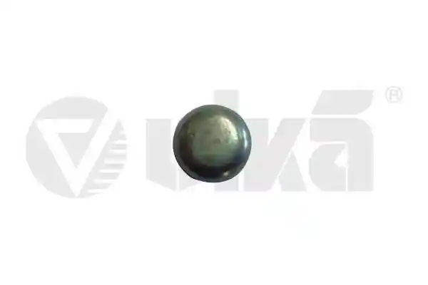 vika 18020013801