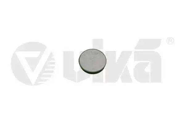 vika 65010000101