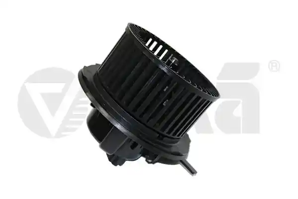 vika 98190703601