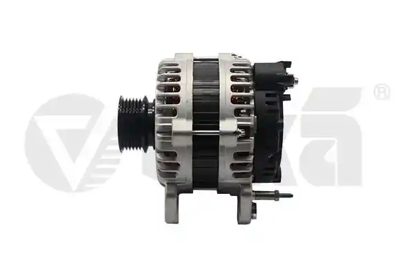 vika 99031224001