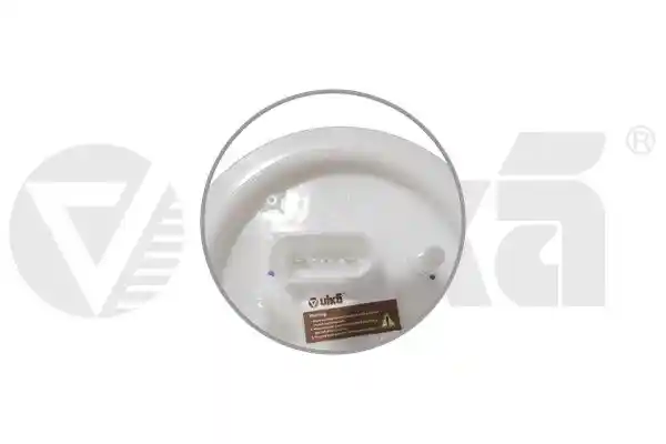vika 99190619901
