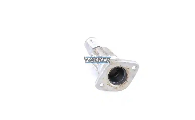 WALKER 10613