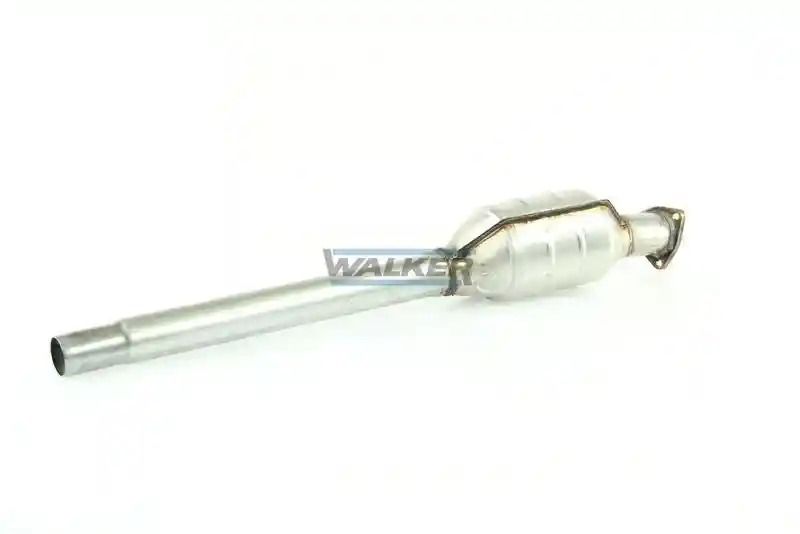 WALKER 19132