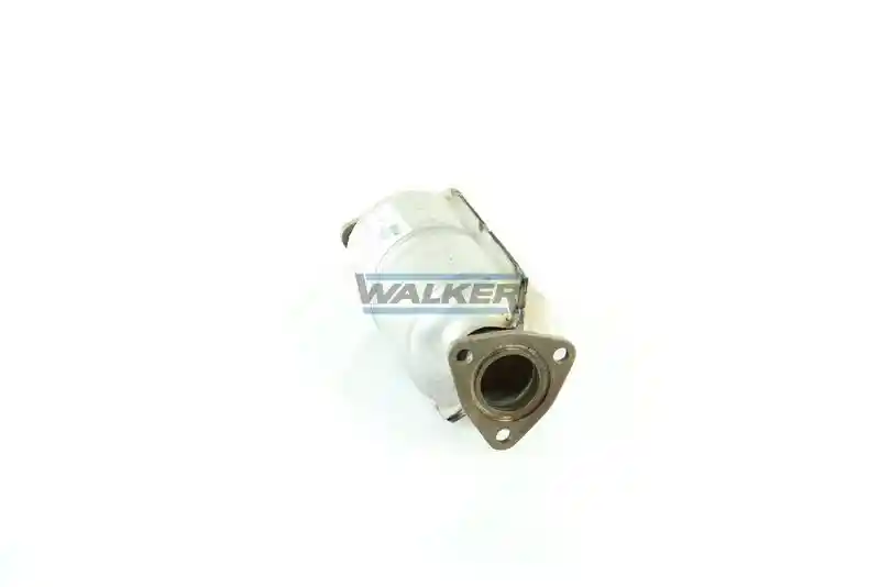 WALKER 19154