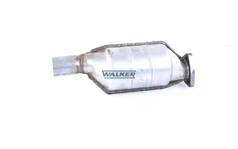 WALKER 19183