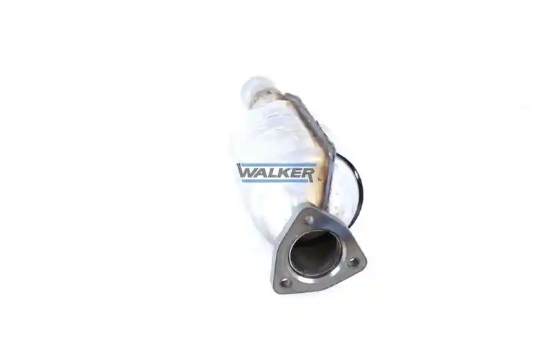 WALKER 19183