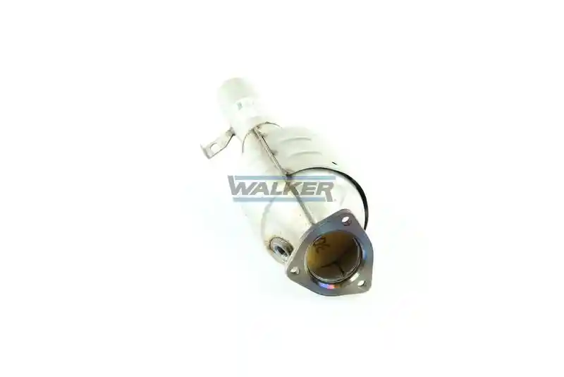 WALKER 19184