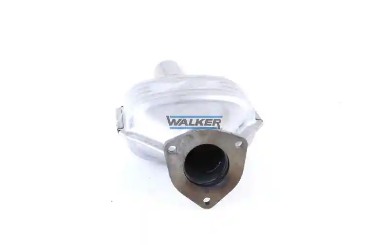 WALKER 20052