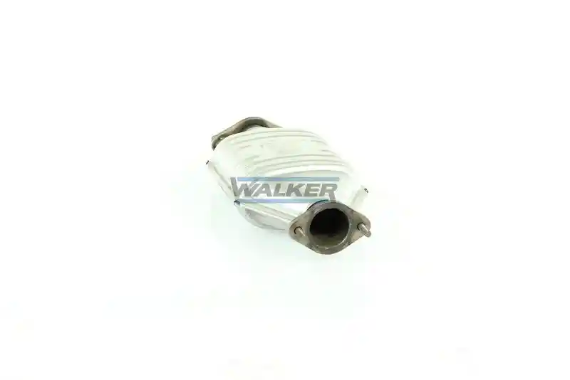 WALKER 20071
