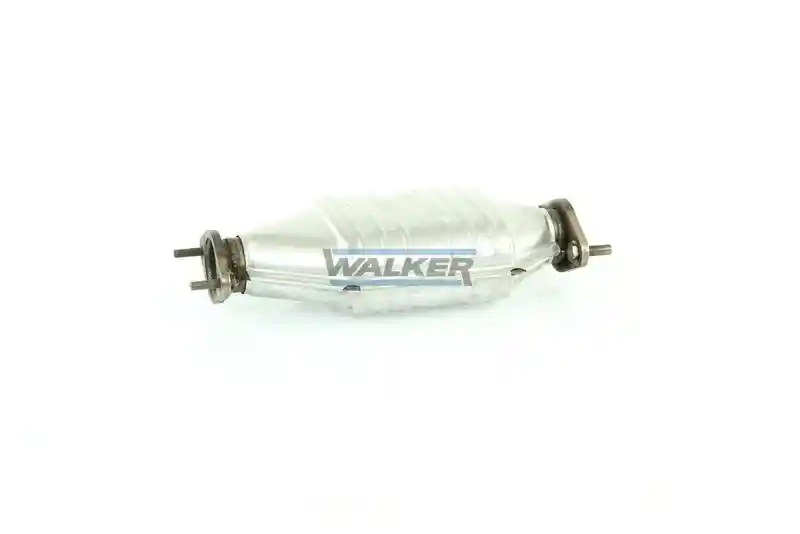 WALKER 20071