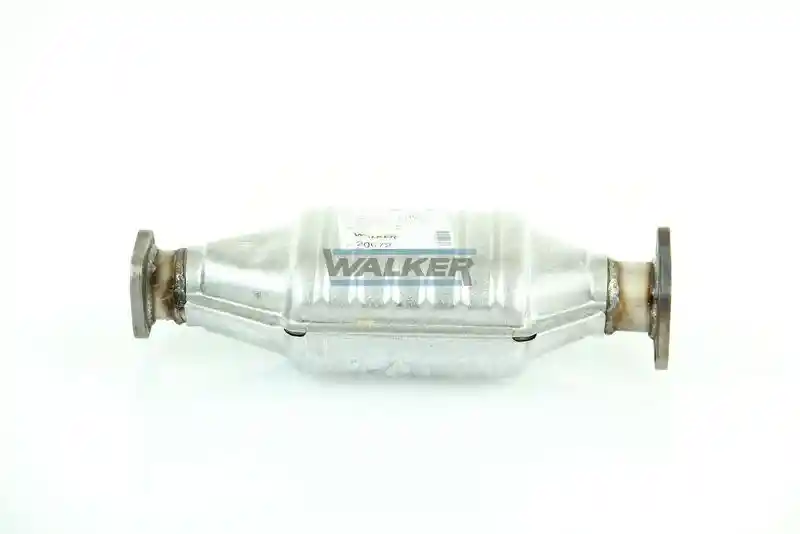 WALKER 20072