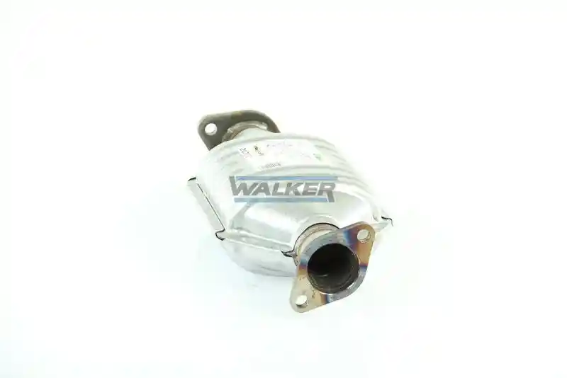 WALKER 20072