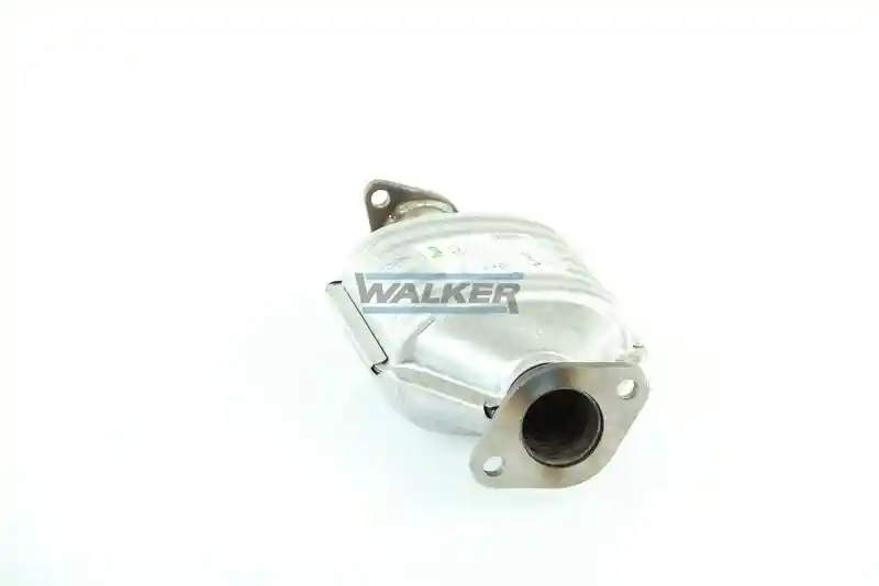 WALKER 20072