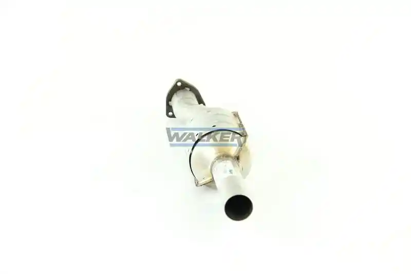 WALKER 20120