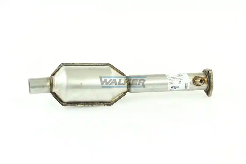 WALKER 20190