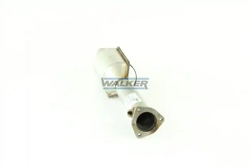 WALKER 20190