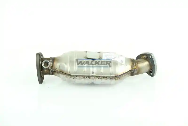 WALKER 20197