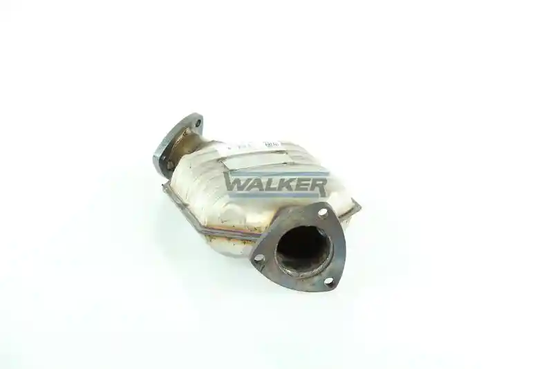 WALKER 20197