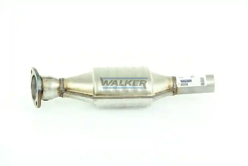 WALKER 20250