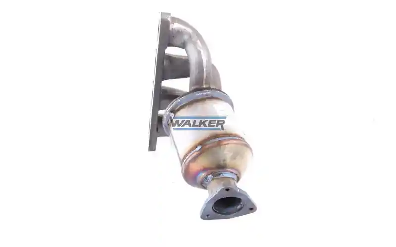 WALKER 20619