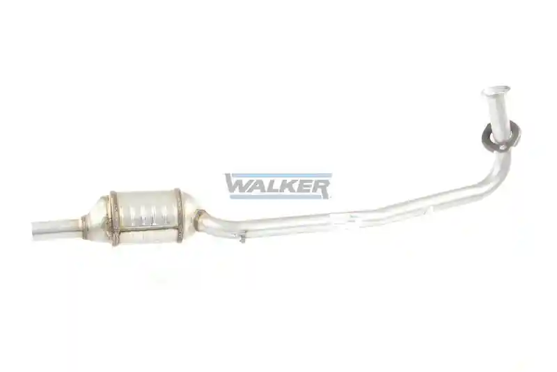 WALKER 28019