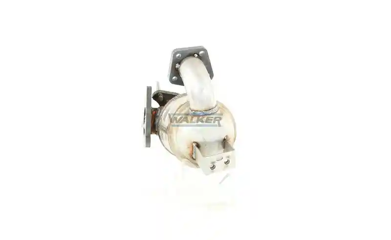 WALKER 28203