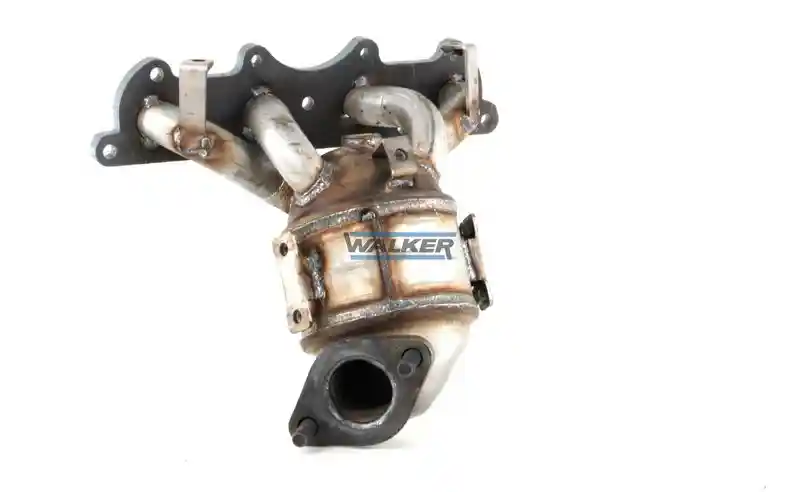 WALKER 28208