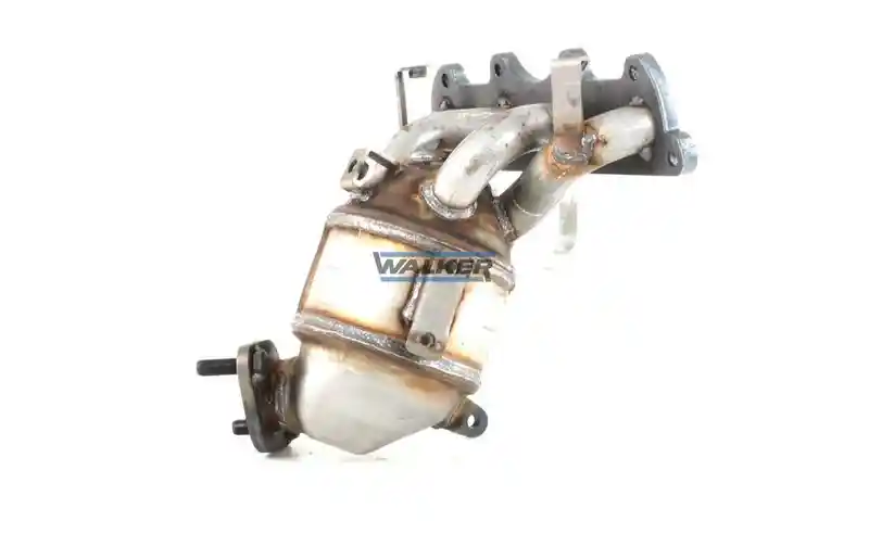 WALKER 28208