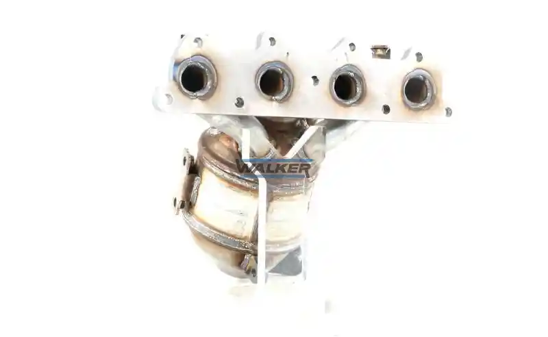 WALKER 28208